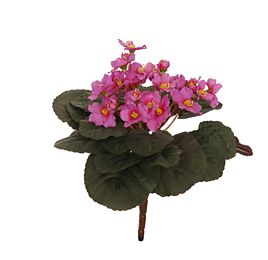 SAINTPAULIA BUSH 22CM MAUVE