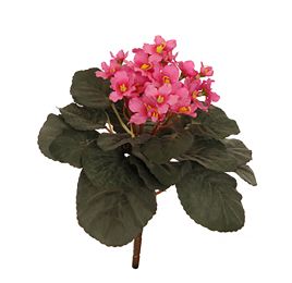 SAINTPAULIA BUSH 22CM PINK