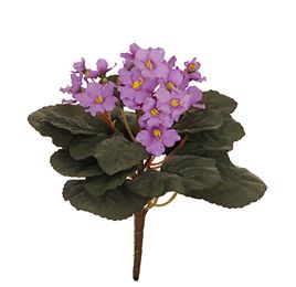 SAINTPAULIA BUSH 22CM PURPLE