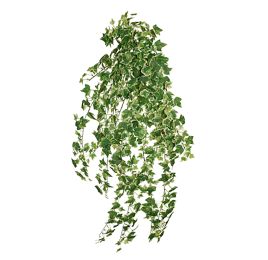 MINI IVY BUSH W/740 LVS 90CM HOLLAND IVY