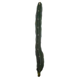 MEDIUM STRAIGHT CACTUS 32CM GREEN