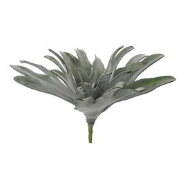 PLATYCERUM BUSH 29CM GREY