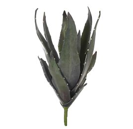 BIG ALOE 57CM GREEN