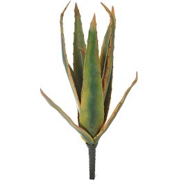 MEDIUM ALOE 36CM YELLOW GREEN