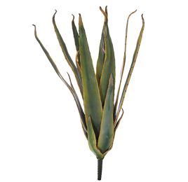LARGE ALOE 50CM YELLOW GREEN