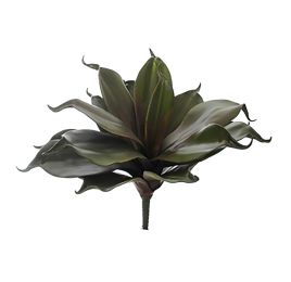 MEDIUM ECHEVERIA 34CM GREEN