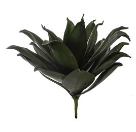 BIG ECHEVERIA 48CM GREEN