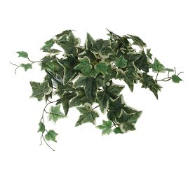 SMALL LEAVES BUSH 27CM HOLLAND