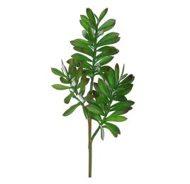 CRASSULA PICK X 3 38CM GREEN