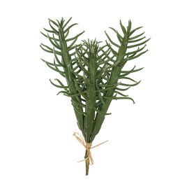CACTUS BUNDLE X 4 24CM GREEN