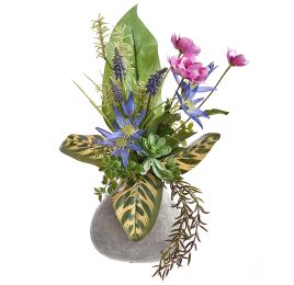 CLEMATIS PEONY IN POT 42CM BLUE