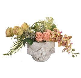 ROSE ORCHID ARR IN POT 55X30CM GREEN