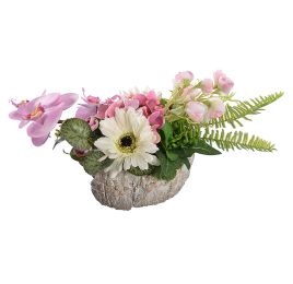 ROSE ORCHID IN POT 23X50CM CREAM PINK