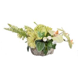 ROSE ORCHID IN POT 23X50CM GREEN
