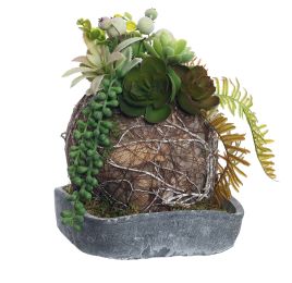BALL DIA ON SQUARE POT SUCCULENT 17X17X27CM GREEN