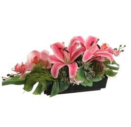 ORCHID LILY ARR IN PLASTIC POT 50X20X20CM BEAUTY