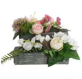 RANUNCULUS SWEET PEA ARR 15X30CM ASSORTED