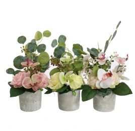 ROSE ORCHID ARR IN POT D15X30CM ASSORTED