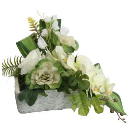 ORCHID BRASSIA ARR IN PLANTER 30X30X40CM GREEN