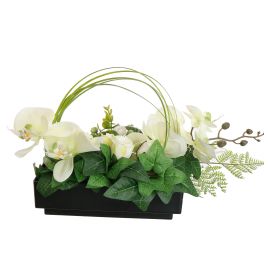 ORCHID ROSE IN RECTANGLE PLANTER 45X15X25CM GREEN