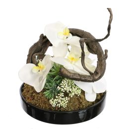 ORCHID IN ROUND POT D25X20CM CREAM