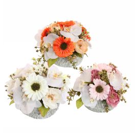 ORCHID GERBERA ARR IN ROUND POT D25X18CM ASSORTED