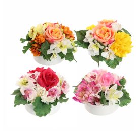 ORCHID MUM ARR IN ROUND TRAY D20X15CM ASSORTED