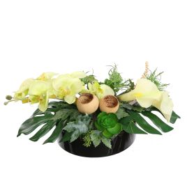 CALLA ORCHID ARR IN ROUND TRAY D50X20CM GREEN