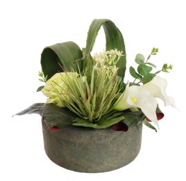 ROSE CALLA ARR IN ROUND POT D30X25CM GREEN