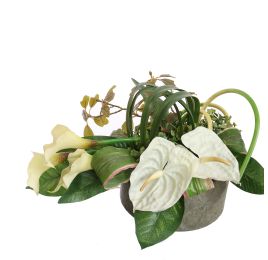 CALLA ANTHURIUM ARR IN ROUND POT 40X25CM CREAM
