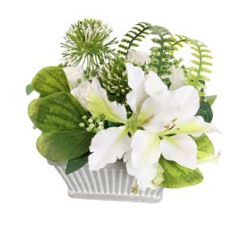 BAUHINIA ALLIUM ARR ON SQUARE POT 20X20X18CM WHITE