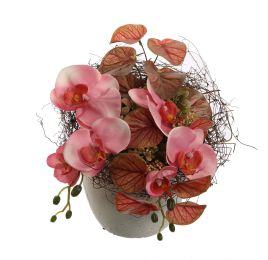 ORCHID BERRY ARR IN EGGSHAPE 17X28X34CM PINK