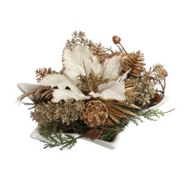 POINSETTIA IN STAR PLATE 30X16CM CREAM