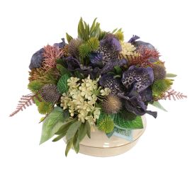 ORCHID SNOWBALL ARR IN ROUND POT D28X20CM LAVENDER
