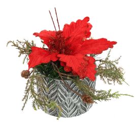 PIONSETTIA ARR IN ROUND POT D19X17CM RED