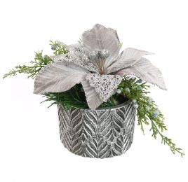 PIONSETTIA ARR IN ROUND POT D19X17CM SILVER