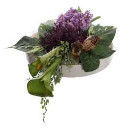 LILAC/CALLA/SPIDER ARRANGEMENT IN PLATE 14CM LAVENDER