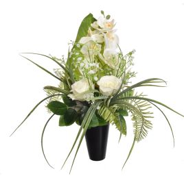 ORCHID ROSE ARR IN POT 15X50CM CREAM