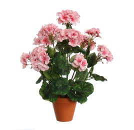 GERANIUM IN PLASTIC POT 48CM PINK