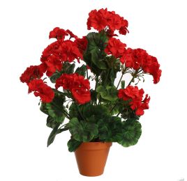 GERANIUM IN PLASTIC POT 48CM RED