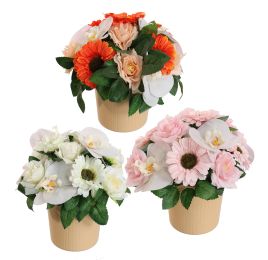 ORCHID GERBERA ARR IN ROUND POT D25X22CM ASSORTED