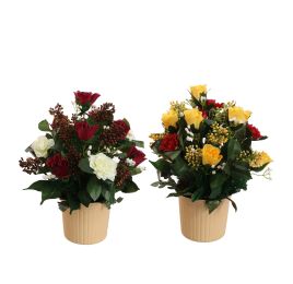 ROSE CAMELIA ARR IN ROUND PLASTIC POT D28X35CM ASSORTED
