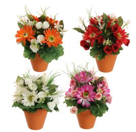 GERBERA MINI FLOWER ARR IN PLSTAIC POT D22X26CM ASSORTED