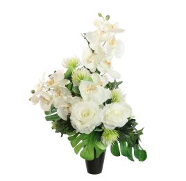ROSE ORCHID ARR IN VASE 30X50CM CREAM