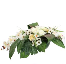 ROSE ORCHID ARR IN PLASTIC POT 60X30X22CM CREAM