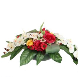 ROSE ORCHID ARR IN PLASTIC POT 60X30X22CM CREAM RED