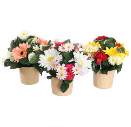 ARR IN ROUND POT D25X28CM ASSORTED