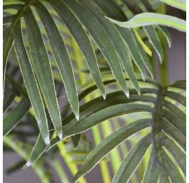 ARECA PALM TREE 135CM GREEN