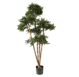 ELM TREE 150CM GREEN