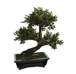 ELM BONSAI TREE 52CM GREEN